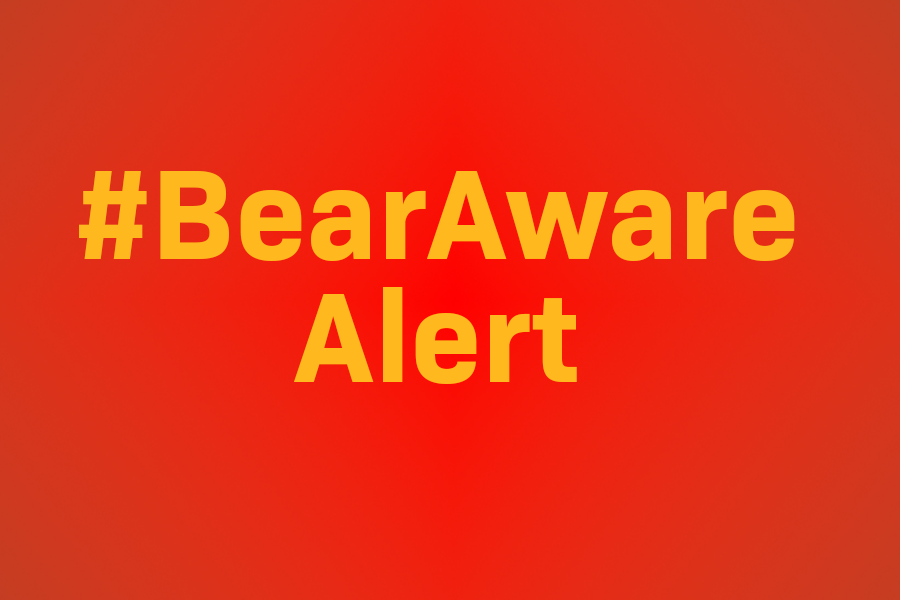 BearAware Alert: Phishing